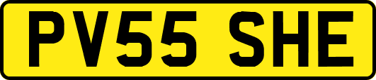 PV55SHE
