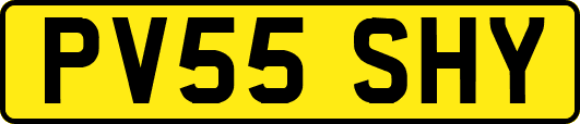 PV55SHY