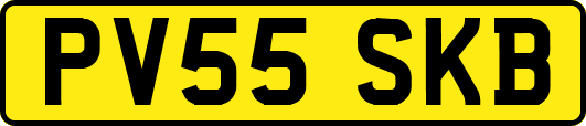 PV55SKB