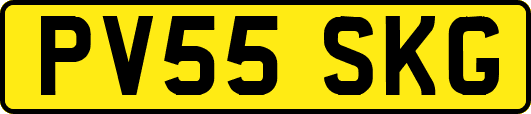PV55SKG