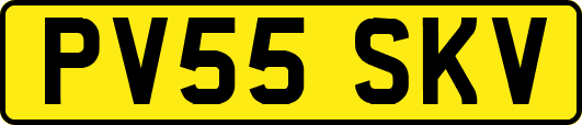 PV55SKV