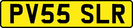 PV55SLR