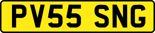 PV55SNG