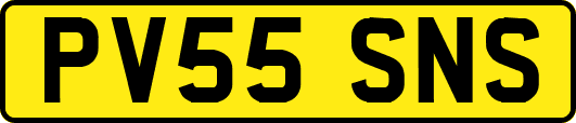 PV55SNS