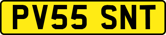 PV55SNT