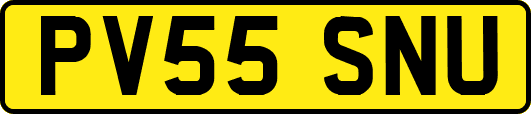 PV55SNU