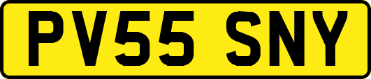 PV55SNY