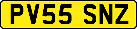 PV55SNZ