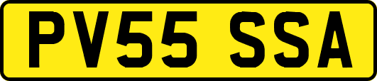 PV55SSA