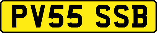 PV55SSB