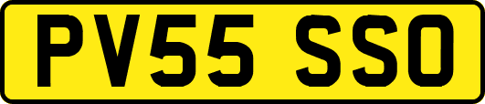 PV55SSO