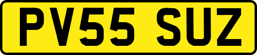 PV55SUZ