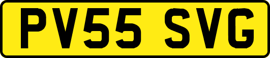 PV55SVG