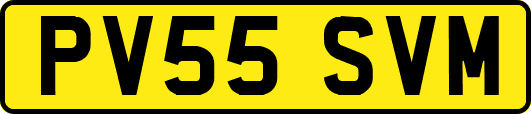 PV55SVM