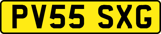 PV55SXG