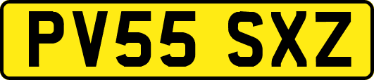 PV55SXZ