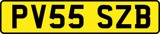 PV55SZB