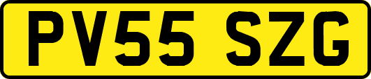 PV55SZG