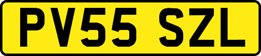 PV55SZL