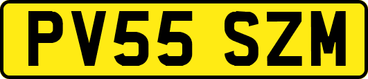 PV55SZM
