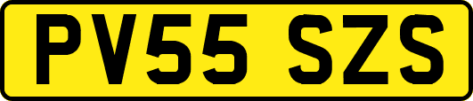 PV55SZS