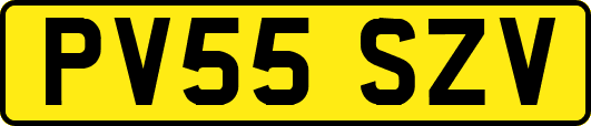 PV55SZV