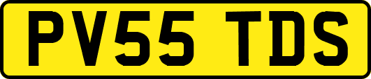PV55TDS