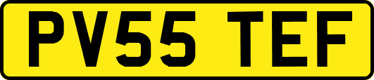 PV55TEF