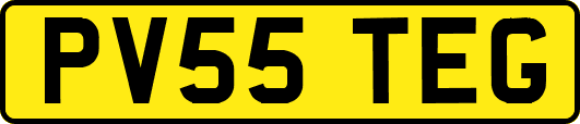 PV55TEG