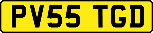 PV55TGD