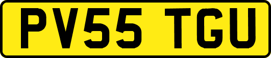 PV55TGU