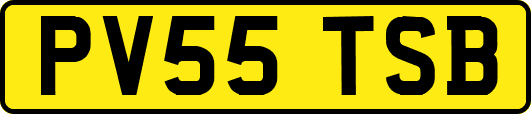 PV55TSB