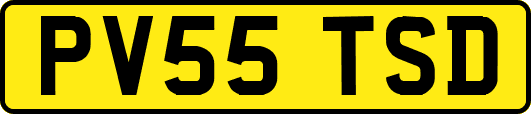 PV55TSD