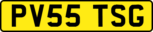 PV55TSG