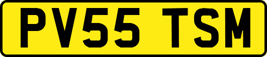 PV55TSM