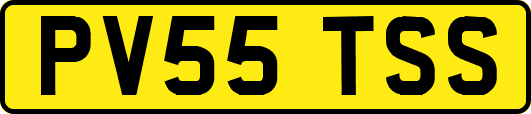 PV55TSS