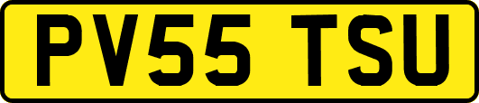 PV55TSU