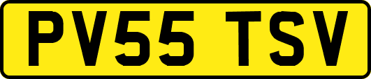 PV55TSV