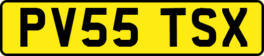 PV55TSX