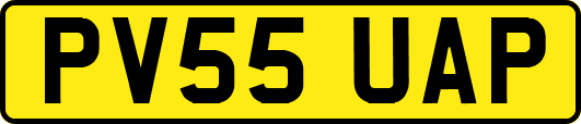 PV55UAP