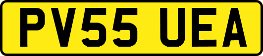 PV55UEA