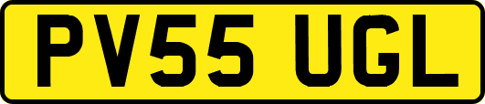 PV55UGL