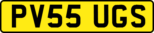 PV55UGS