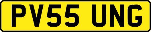 PV55UNG