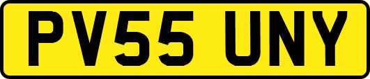 PV55UNY