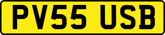 PV55USB