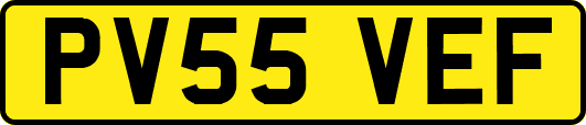PV55VEF