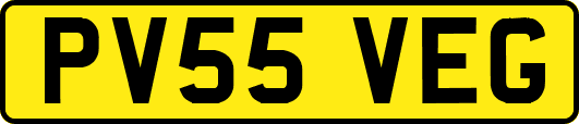 PV55VEG