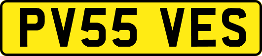 PV55VES