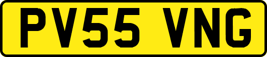 PV55VNG